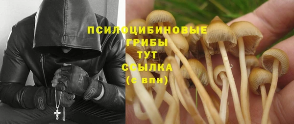 СК Горнозаводск