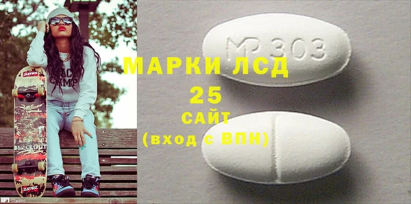 СК Горнозаводск