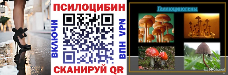 Псилоцибиновые грибы ЛСД  Купить  Киселёвск 